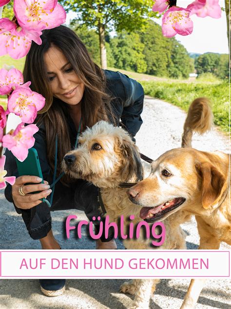 Loriot Auf Den Hund Gekommen