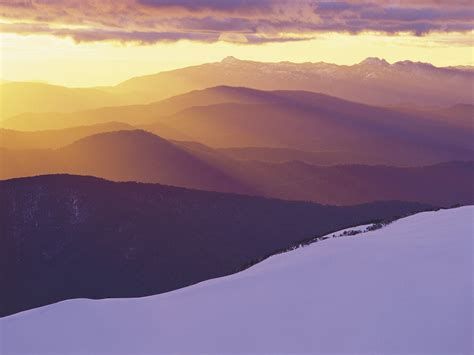 Alpine National Park - Alpine Valley Getaways