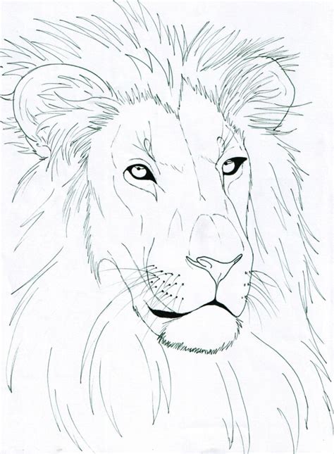 Lion Head by Lucy101 on DeviantArt