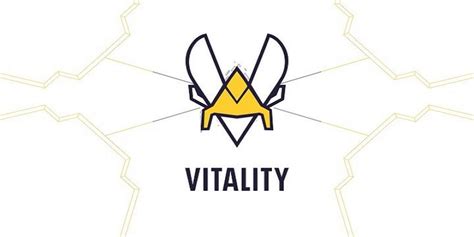 Team Vitality officially announces its expansion in India