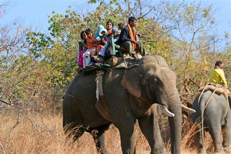 De Safari En India Parques Nacionales De India