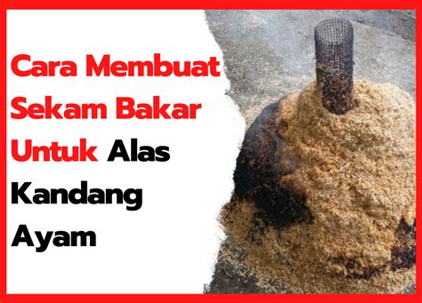 Adakah Peternak Yang Sudah Mengetahui Bahwa Sekam Bakar Ternyata Cukup