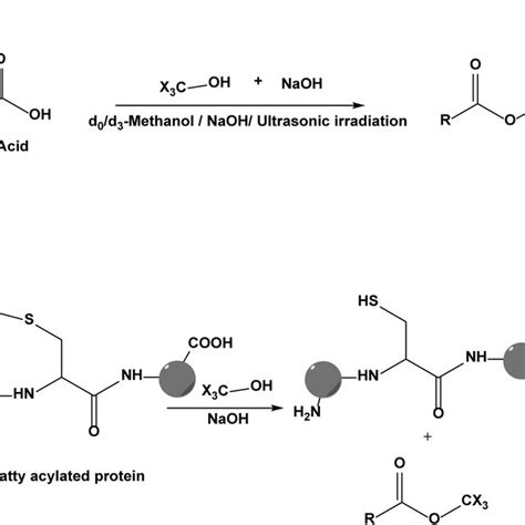 Silylation And Combinatorial Methoximation Reagents And Their Reaction