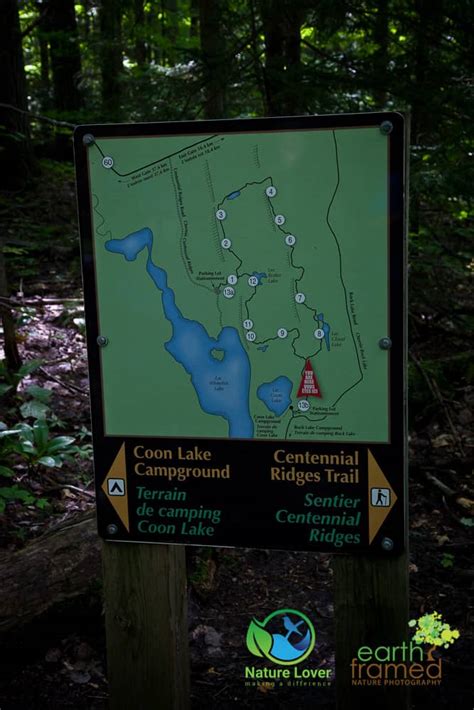 Map Of Centennial Ridges Picture Of Centennial Ridges Trail Algonquin