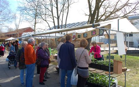 Plantjesmarkt Hortus Botanicus Haren Groningen