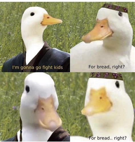 A tough quacker. : r/memes