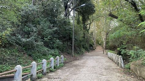 2023 10 29 Camí del pantà de Vallvidrera Passejades per Collserola