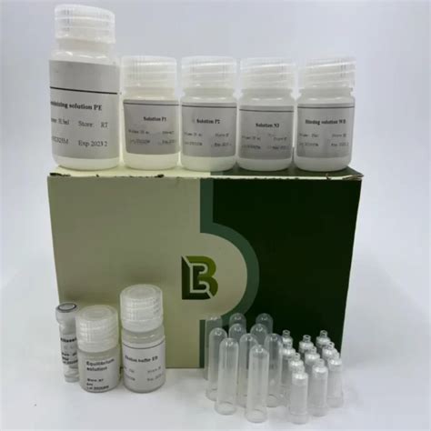 Pl14 DNA Extraction Kit Plasmid Extraction Kit Phaseprep Endofree Maxi