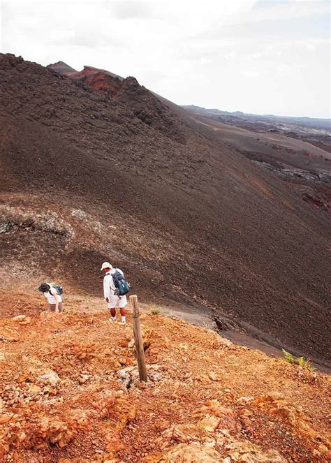 21 Galapagos Islands Volcanoes (Active, Dormant, Location Chart ...