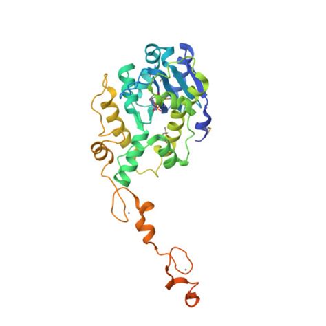 Rcsb Pdb C The Crystal Structure Of Trypanosoma Brucei Rnase D