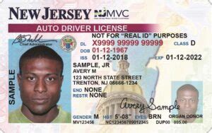 Como Sacar Placas Temporales En New York Placas Temporales Dmv