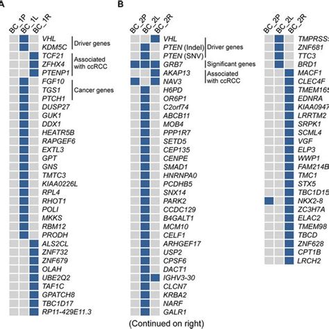 Variant Allele Frequency Analysis Of All Mutations In Four Tumors