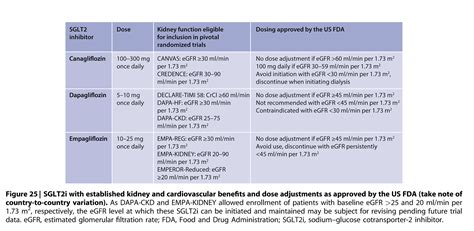 diabetes  ckd visual guidelines