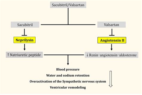 Frontiers The History And Mystery Of Sacubitril Valsartan Off