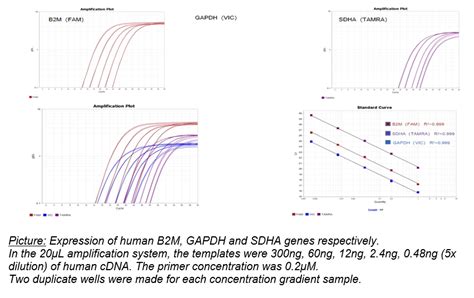 Universal Qpcr Mix With Sybrgreen And Blue Dye Luna Geneon Bioscience