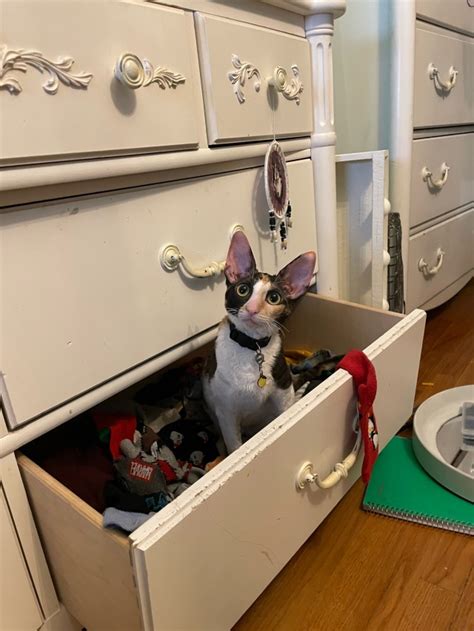 Where The Fuck Is Waldo On Tumblr