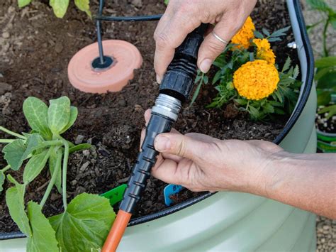 DIY Terra Cotta Olla Self Watering System For Gardening HGTV