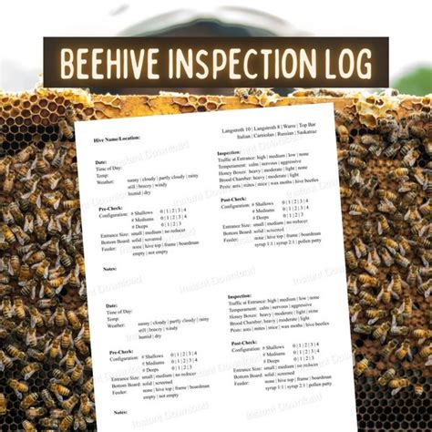 Beehive Inspection Sheet Etsy