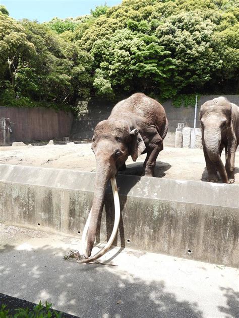 あぁー！こぼれ話｜ブログ金沢動物園公式サイト｜公益財団法人 横浜市緑の協会