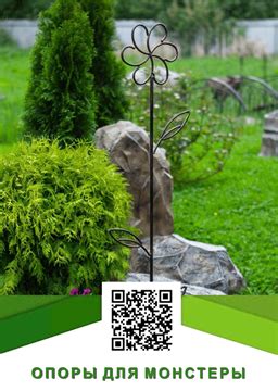 Опоры для монстеры купить по недорогой цене на HiTSAD.RU
