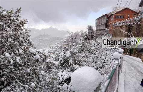 Gorgeous Pictures of Snowfall in Shimla That will Make Your Day ...