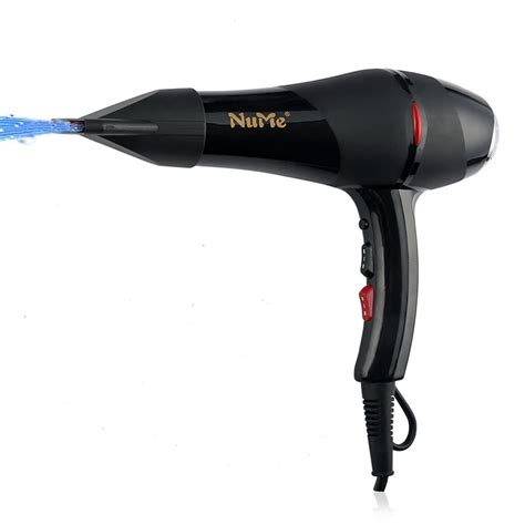 W Powerful Professional Salon Hair Dryer Negative Ion Blow Dryer