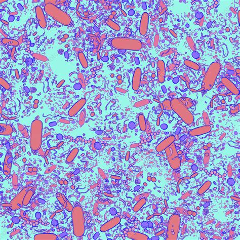 Bacteria, conceptual illustration - Stock Image - C059/6685 - Science ... 