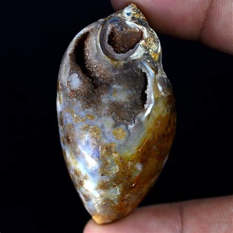 190 85 Cts 100 Natural Crystal Fossil Snail Agate Druzy Cabochon