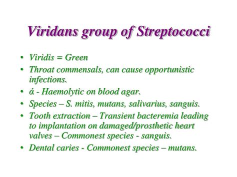 Ppt Streptococcus Pneumoniae And Viridans Group Of Streptococci