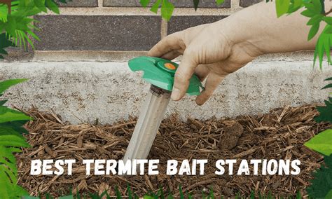 Best Termite Bait Stations To Consider In Top Picks