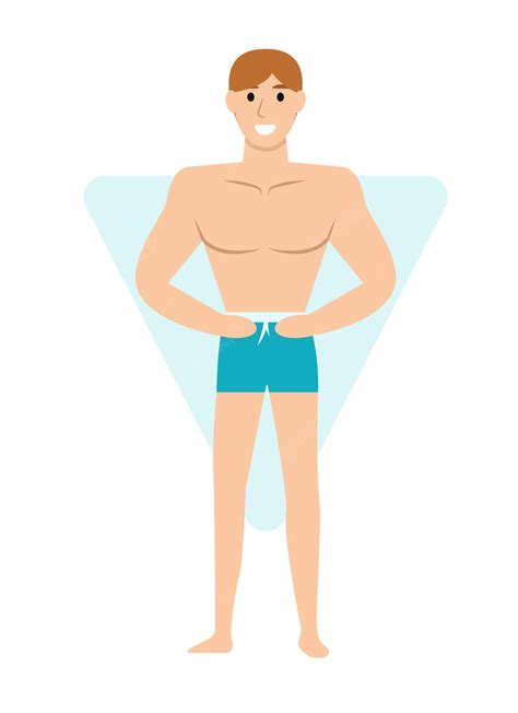 Premium Vector Concept Male Body Types Man The Illustration Depicts A Cartoonstyle Male