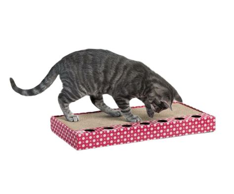 Scraping Cardboard With Toy 48 x 25 Cm Pink Trixie Cat Activity Agility ...