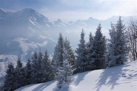 Winter Rundwanderweg Tschentenalp Adelboden