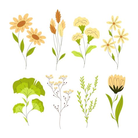 Premium Vector Spring Flower Collection