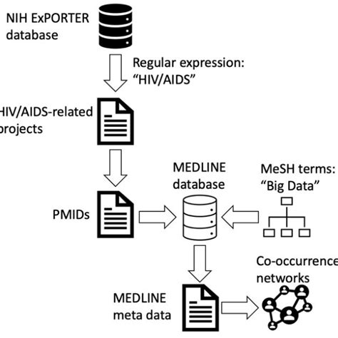 Data Extraction Flowchart Download Scientific Diagram