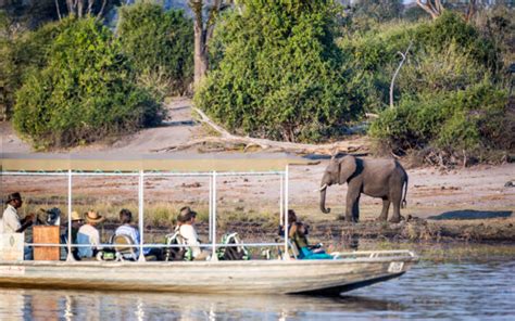 4 Days Chobe National Park Safari - Safari World Tours