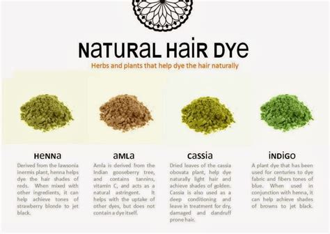 Natural Hair Dye Brief Info About Four Different Plant Powders Used