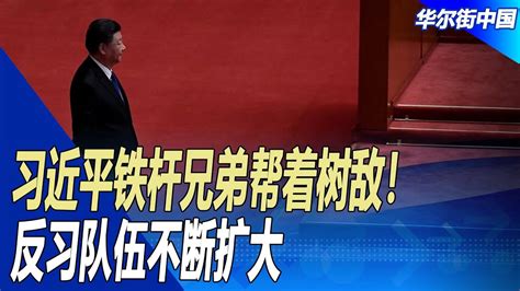 习近平铁杆兄弟帮着树敌！反习队伍不断扩大；反腐数字惊心，永无休止的十字军东征为何注定失败 ｜ 华尔街中国 Youtube