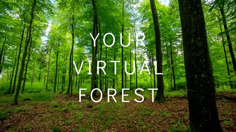 Virtual Forest Example