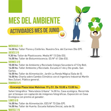 Cronograma De Actividades Plantilla 13