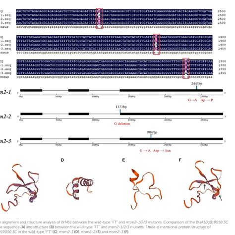 Schematic Diagram Representing Backcross Breeding Programme Figure Download Scientific Diagram