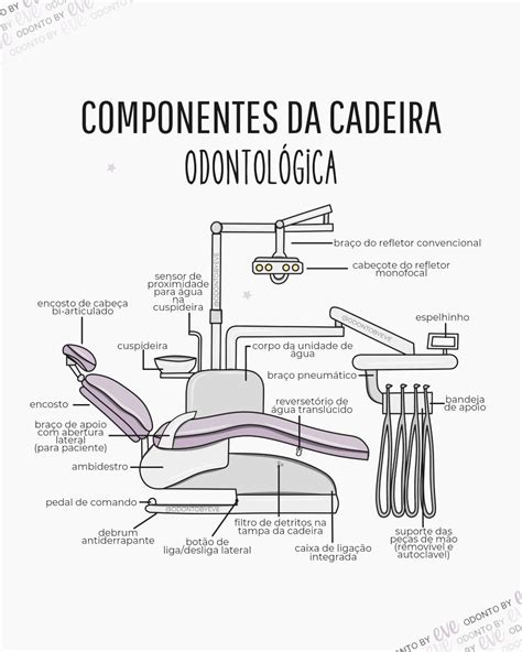 Pin On Forma O Profissional Em Odontologia