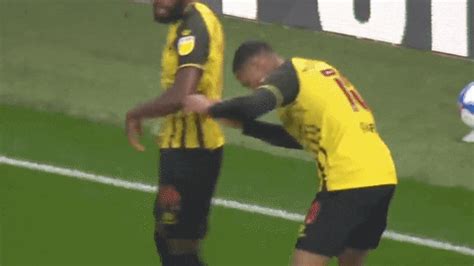 joao pedro gifs find share  giphy
