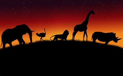 african animals wallpaper   lukasiniho  deviantart