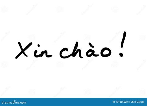 Xin Chao stock photo. Image of noticeboard, office, politeness - 171056520