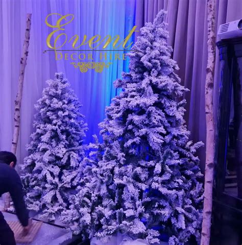 Snow Flocked Christmas Trees - Event Decor Hire