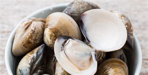 Bivalve Pros & Cons: Should You Eat Mollusk? - Dr. Axe