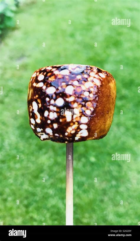 Burt Marshmallow Hi Res Stock Photography And Images Alamy