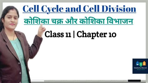 11 Bio Ch 10 P1 Cell Cycle And Cell Division कोशिका चक्र और कोशिका