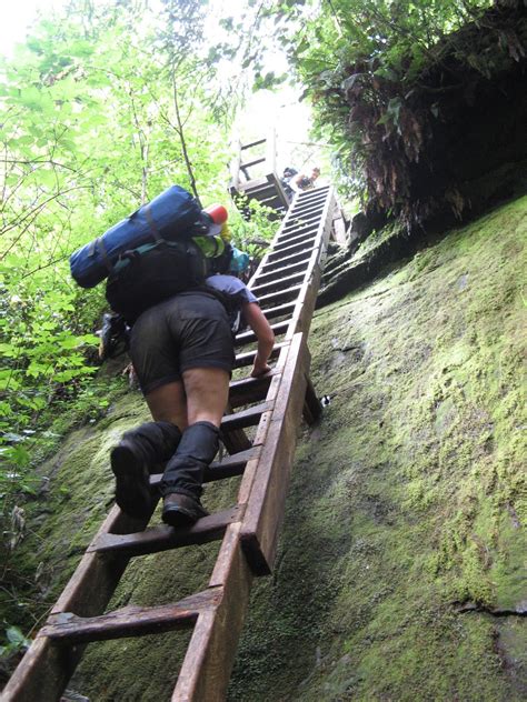 Coastal Bliss Adventures: West Coast Trail Highlight-Toward Walbran